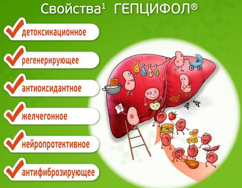 Гепцифол 400мг 20 шт. таблетки кишечнорастворимые, покрытые пленочной оболочкой, фото №5