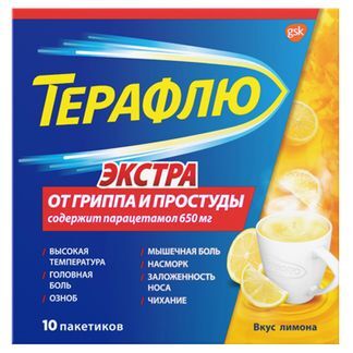 терафлю яблоко корица купить