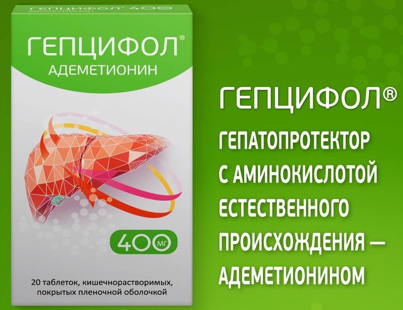 Гепцифол 400мг 20 шт. таблетки кишечнорастворимые, покрытые пленочной оболочкой, фото №3
