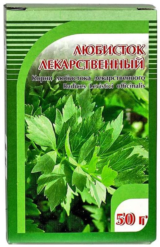 Любисток москва. Любисток лекарственный. Любисток лекарственный корни. Любистока лекарственного корень. Любисток корень.