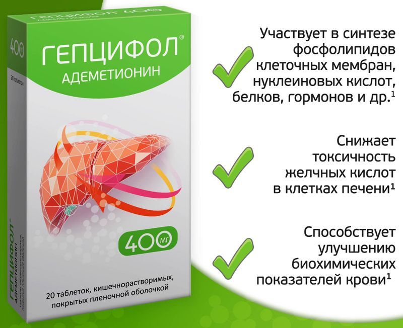 Гепцифол 400мг 20 шт. таблетки кишечнорастворимые, покрытые пленочной оболочкой, фото №4